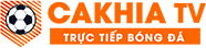 gạch đỏ lát sân